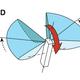 Illustration for article titled Dont Get Paranoid, But There Are Now Insect-Sized Flying Robots